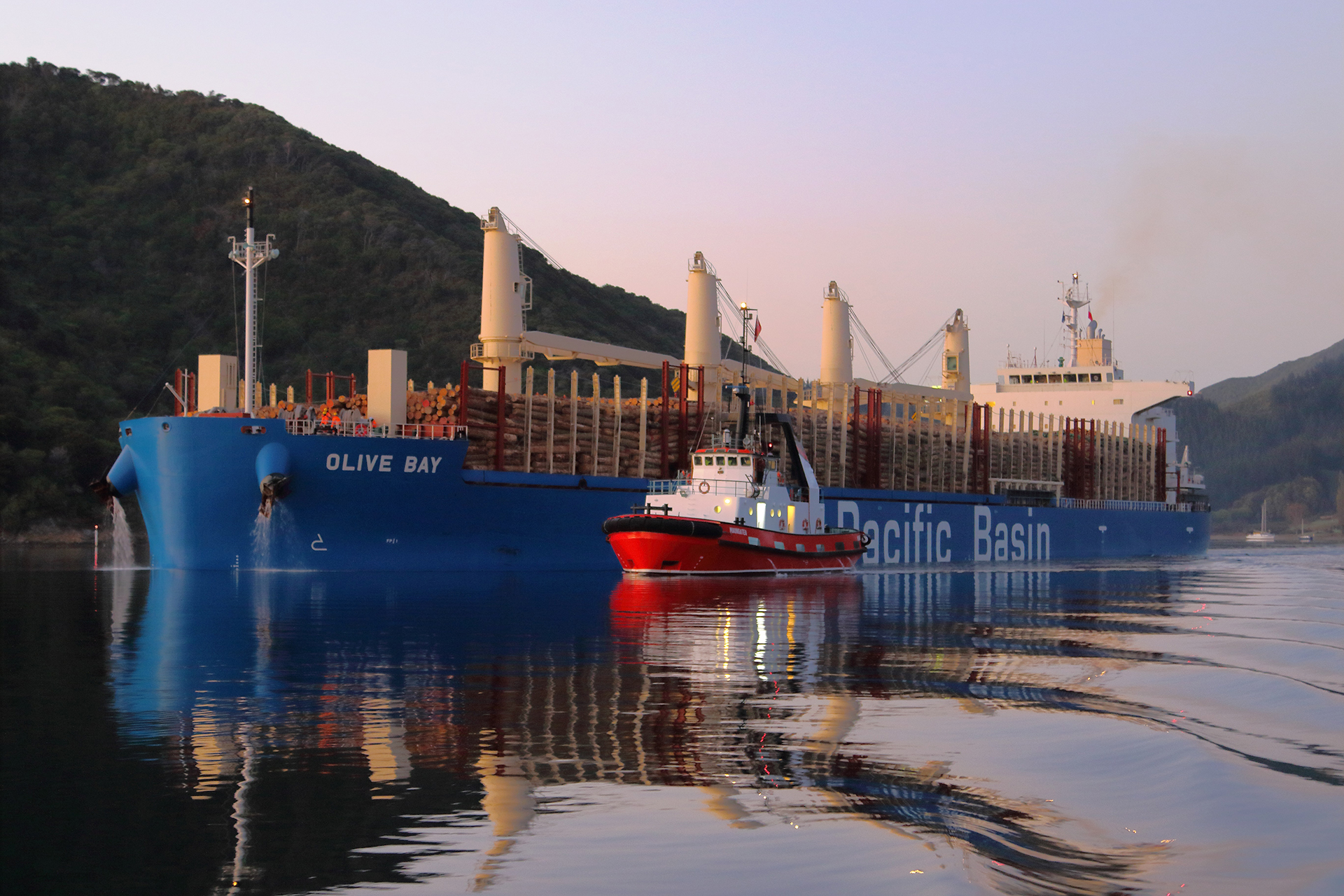 Pacific Basin Launches PB Carbon Neutral Voyage Programme VesselFinder